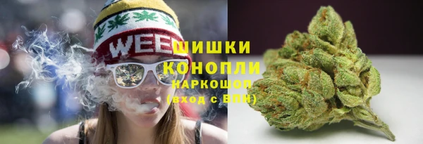 метадон Инта