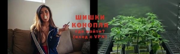 метадон Инта