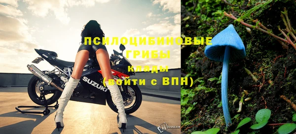 метадон Инта