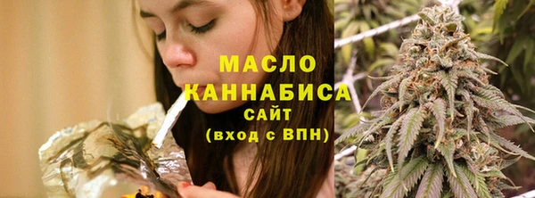 метадон Инта