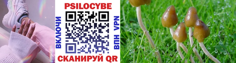 Псилоцибиновые грибы Psilocybe  Купить где  Ахтырский 